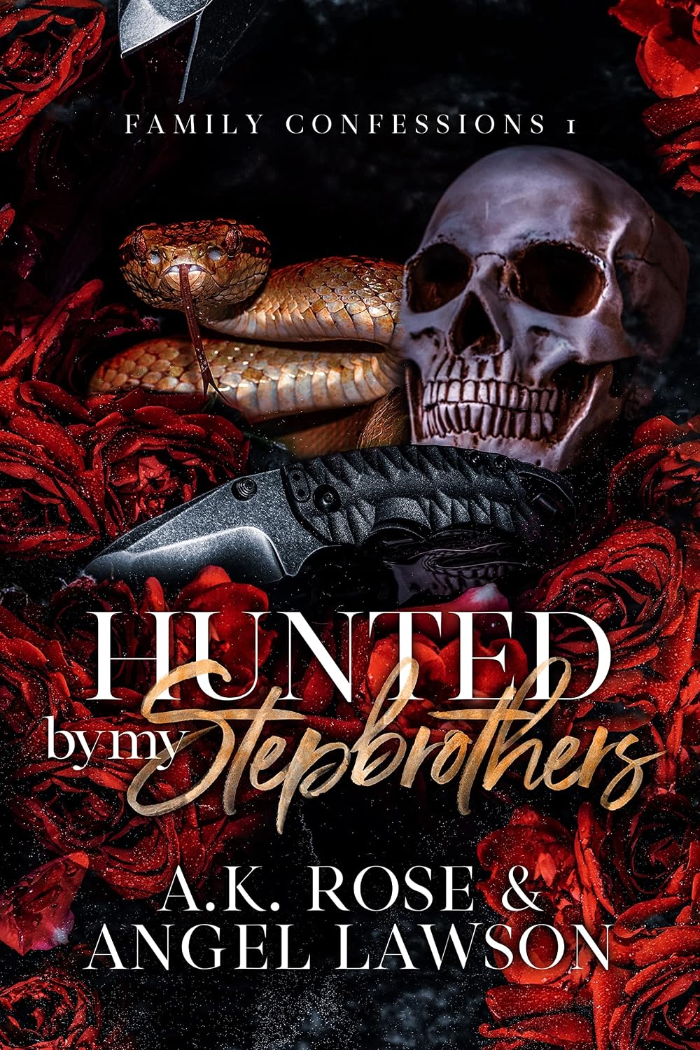 Hunted by My Stepbrothers cover