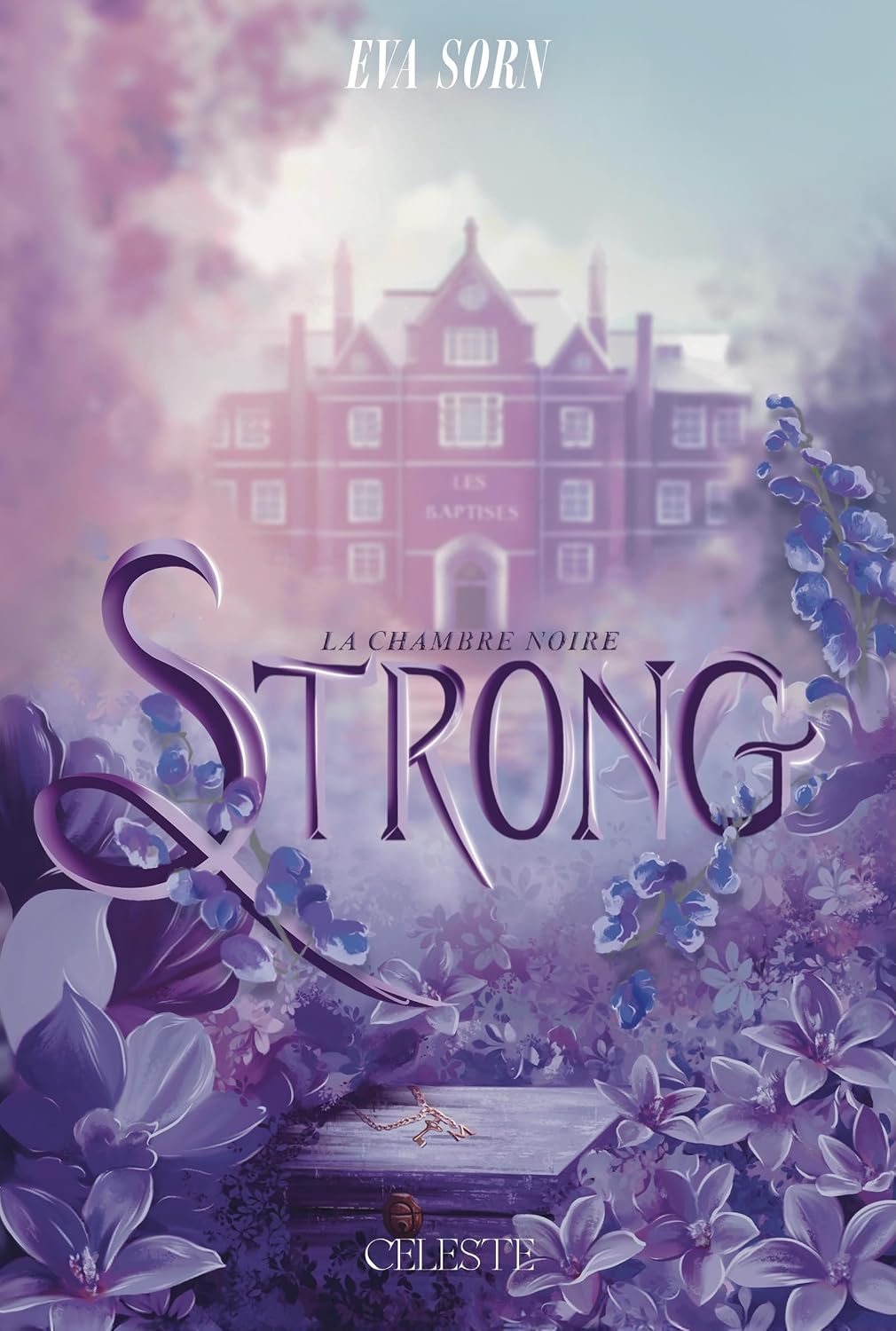 Strong: La Chambre noire cover