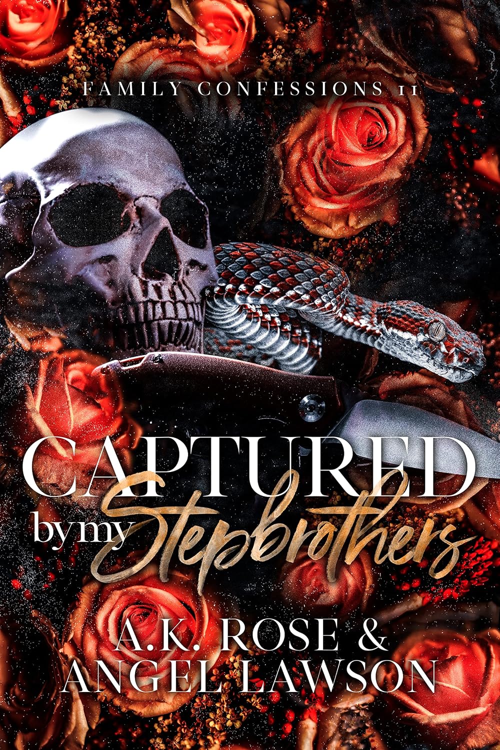 Captured by My Stepbrothers cover