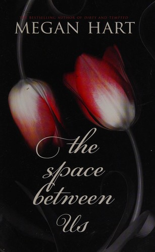 The Space Between Us cover