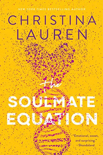 The Soulmate Equation cover
